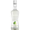 Liqueur Manzana Verde Monin 70 cl - Saveur Pomme Verte