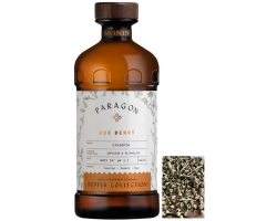 Cordial baie de rue "Paragon" Monin 48.5cl - Boissons raffinées