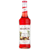 WINTER SPICE MONIN 70 cl - Sirop d'épices festives