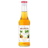 Sirop Monin Caribbean - Mélange d'épices et saveur de rhum
