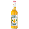 Concentré Mangue-Passion Monin 70cl - Saveur Tropicale