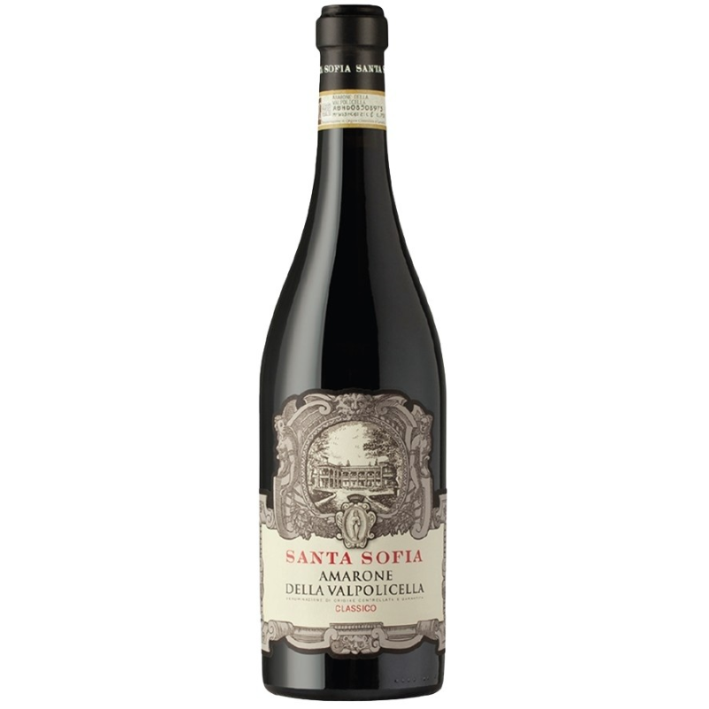 Amarone della Valpolicella Santa Sofia DOC 2017 - Vin Rouge d'Italie