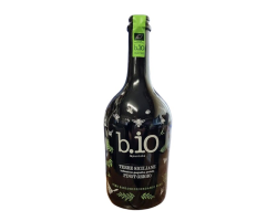 Pinot Grigio B.IO IGP Terre Siciliane 21 - Vin Blanc d'Italie