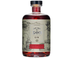 Buss n°509 Raspberry Gin - Gin belge haut de gamme