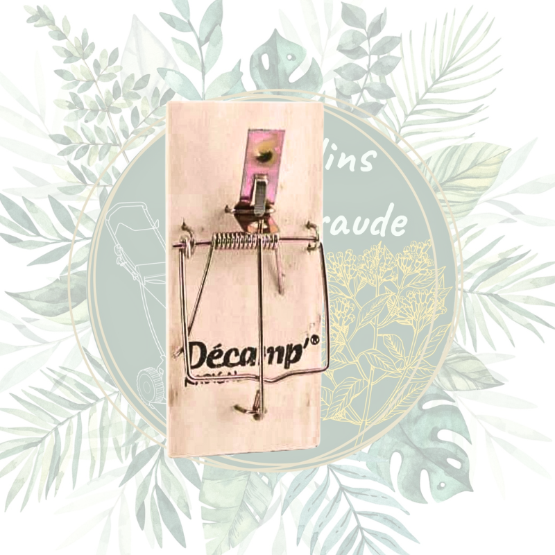 Tapette à souris en bois naturel - Piège efficace pour jardin