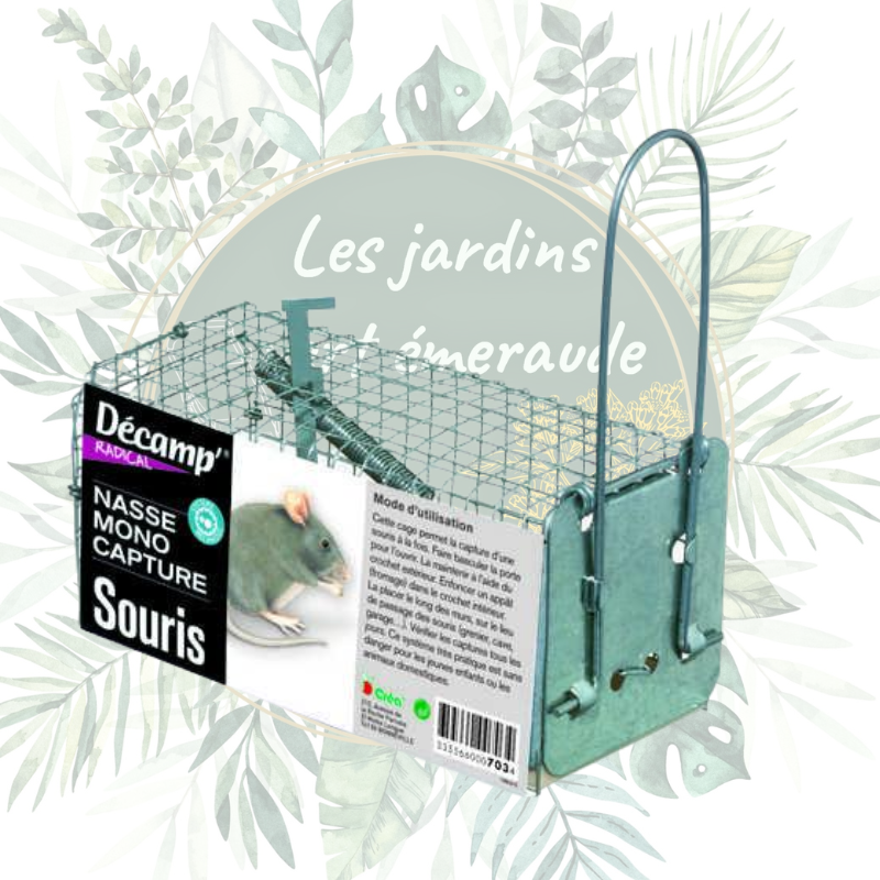 Nasse à souris - Piège efficace et réutilisable pour le jardin