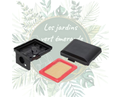 Boîtier et filtre à air Pubert 0001210338 - RV255 pour jardinage