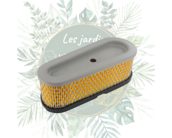 Filtre à air Briggs & Stratton pour moteurs verticaux | Réf: 493910, 691667