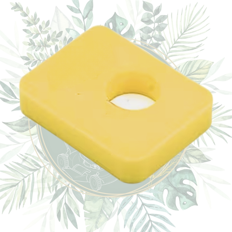 Filtre à air mousse Briggs & Stratton Réf: 799579 - Jardin