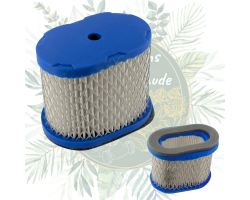 Filtre à air 697029 pour moteurs Briggs & Stratton Intek | Jardin