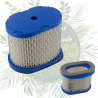 Filtre à air 697029 pour moteurs Briggs & Stratton Intek | Jardin