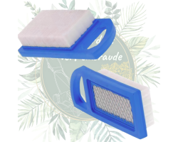 Filtre à air Briggs & Stratton séries 21A900/21B900 - Jardin