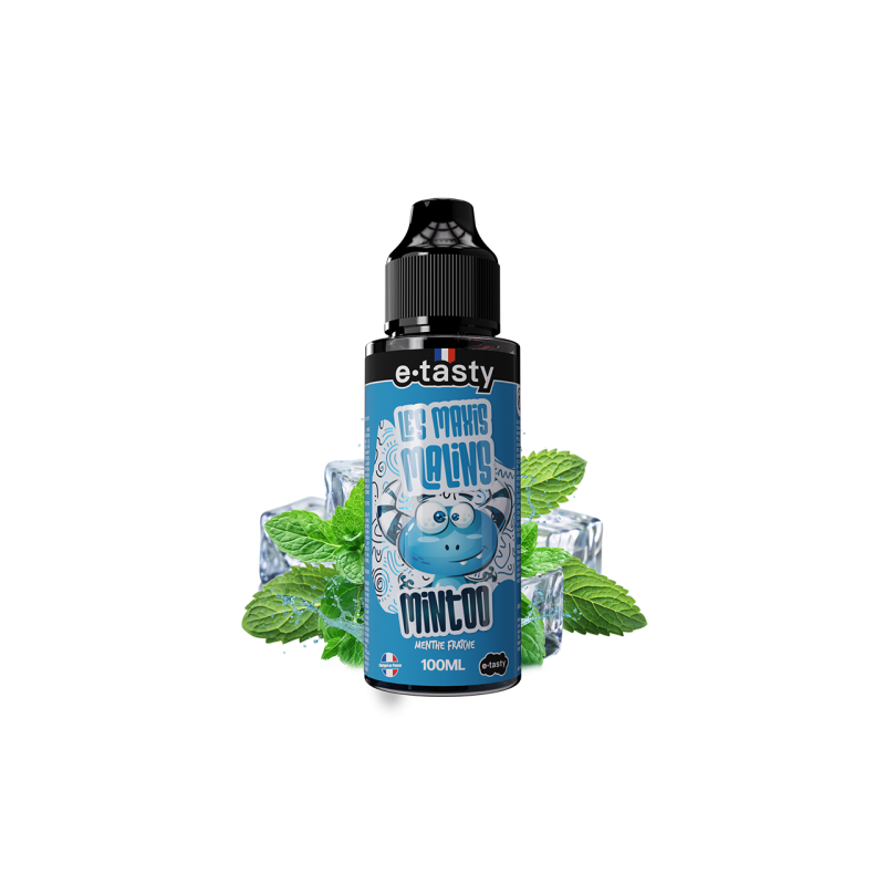 Mintoo - Les maxis malins 100ml | E-liquide haut de gamme