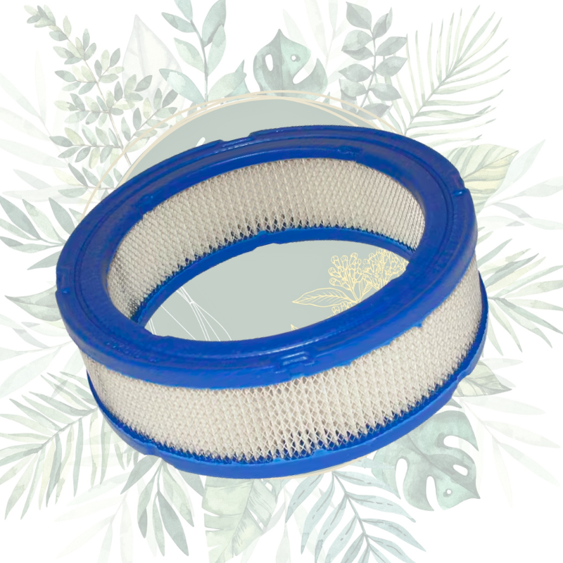 Filtre à air Briggs & Stratton Réf: 394018 - Performance et protection du moteur