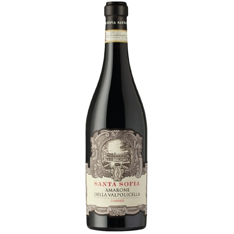 Amarone della Valpolicella Santa Sofia 2021 - Vin Rouge Haut de Gamme