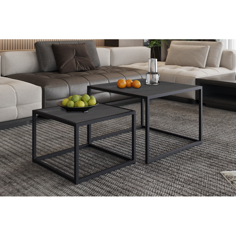 Table basse 'Quinn' en bois de manguier noir - Ensemble de 2 tables