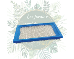 Filtre à air Briggs & Stratton - 805113 pour moteurs de jardin
