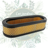 Filtre à air Réf: 394019S pour Briggs & Stratton Twin | Jardin