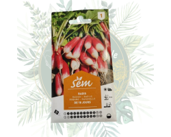 Radis de 18 jours - Variété à croissance rapide pour votre jardin