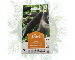 Radis gros long d'hiver - Cultivez une saveur authentique