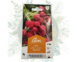 Radis rond Saxa - Variété facile à cultiver pour votre jardin