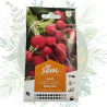 Radis rond Saxa - Variété facile à cultiver pour votre jardin
