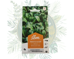 Roquette cultivée - Plante annuelle pour votre jardin