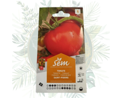 Tomate Saint-Pierre - Variété précoce pour un jardin abondant
