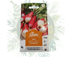 Radis flamboyant - Variété savoureuse pour votre jardin