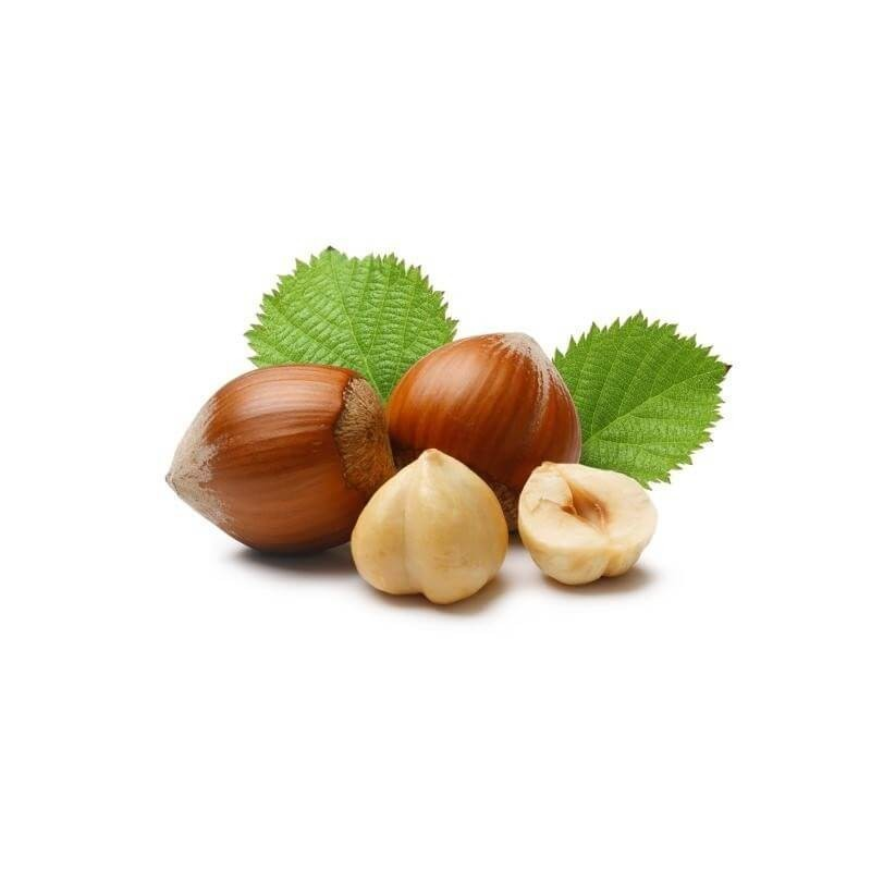 Arôme concentré noisette Eliquide France 10ml - Saveur haut de gamme