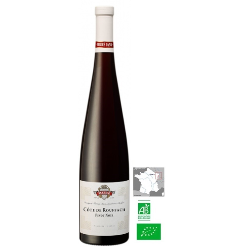 Pinot Noir Côte de Rouffach Bio 2023 - Vin Rouge Alsace