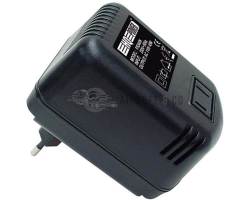Convertisseur 220 V AC / 110 V AC - Recharge sécurisée pour équipements sportifs