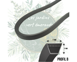 Courroie B55 (17x11mm) - Performance et compatibilité pour jardinage