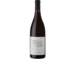 Reuilly Rouge AOC Val de Loire 2023 - Vin Rouge d'Exception