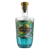 Gin Santa Ana Philippines 70 cl - 42,3% | Saveurs Exotiques