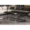 Table basse Lennox set de 3 - Bois de manguier noir | Meubles