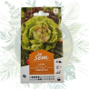 Laitue reine de mai - Idéale pour votre potager