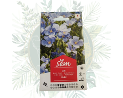 Lin vivace bleu - Plantez la beauté et la biodiversité dans votre jardin