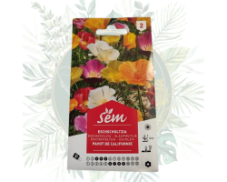 Pavot de Californie - Fleur Résistante pour Votre Jardin