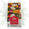Pavot de Californie - Fleur Résistante pour Votre Jardin