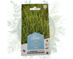 Thym vivace - Herb aromatique résistante et parfumée