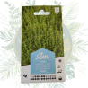 Thym vivace - Herb aromatique résistante et parfumée