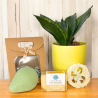 Coffret rituel visage - Soin naturel pour votre peau
