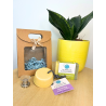Coffret corps et cheveux - Routine naturelle et responsable