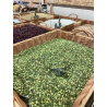Pois cassé bio - 5 kg | Légumes secs de qualité