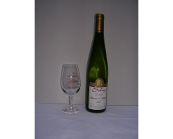 Muscat d'Alsace 2023 | Vin d'exception à découvrir