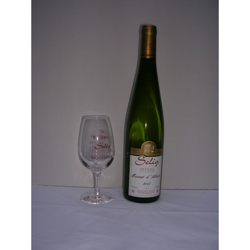 Muscat d'Alsace 2023 | Vin d'exception à découvrir