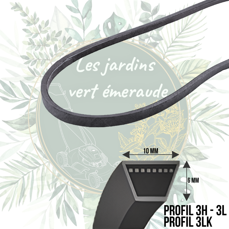 Courroie 3H350 - Courroie trapézoïdale lisse pour jardin