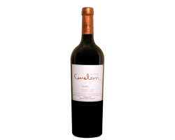 Malbec Cameleon 2022-2023-2024 : Vin Rouge Bio d'Argentine
