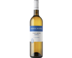 Pinot Grigio Blanc Calderare 2022 DOC - Vénétie, Italie | Vin Blanc Haut de Gamme